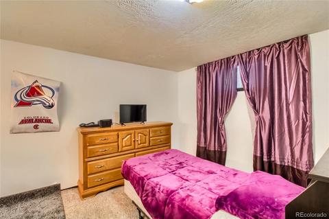 3840 E 114th Dr, Thornton, CO 80233 photo 24