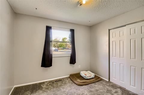 3840 E 114th Dr, Thornton, CO 80233 photo 19