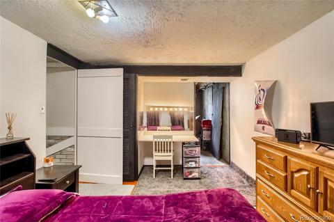 3840 E 114th Dr, Thornton, CO 80233 photo 26