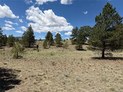 595 Bridle Path, Hartsel, CO 80449