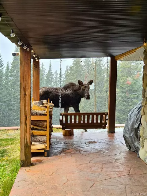 Exterior - 232 Goldfinch Pl, Alma, CO 80420 photo 10 of 11