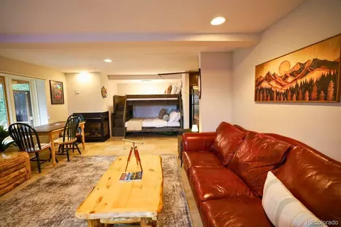 Living - 232 Goldfinch Pl, Alma, CO 80420 photo 4 of 4