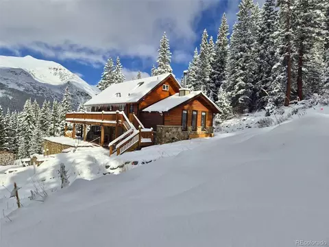 232 Goldfinch Pl, Alma, CO 80420