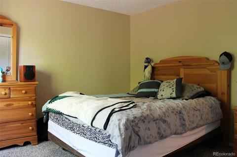 2560 E 100th Way, Thornton, CO 80229 photo 12