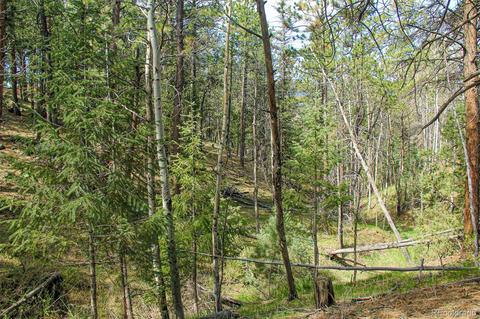 133 Parkview Ct, Bailey, CO 80421 photo 7
