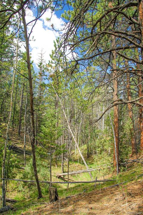 133 Parkview Ct, Bailey, CO 80421 photo 6