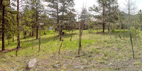 133 Parkview Ct, Bailey, CO 80421 photo 2