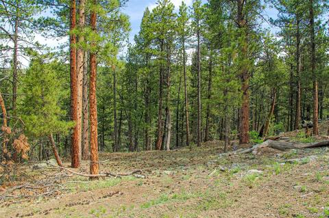 133 Parkview Ct, Bailey, CO 80421 photo 9