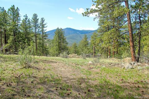 133 Parkview Ct, Bailey, CO 80421 photo 1