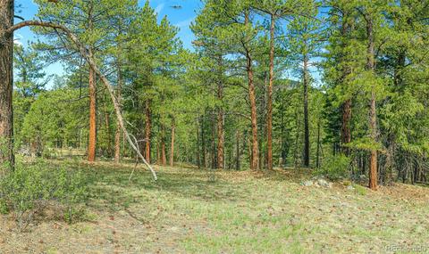 133 Parkview Ct, Bailey, CO 80421 photo 3