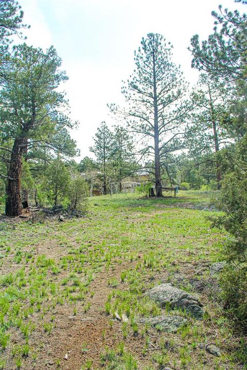 133 Parkview Ct, Bailey, CO 80421 photo 10