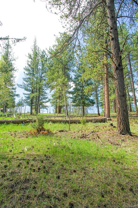 133 Parkview Ct, Bailey, CO 80421 photo 5