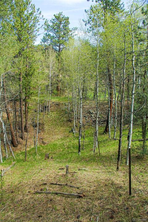 133 Parkview Ct, Bailey, CO 80421 photo 4