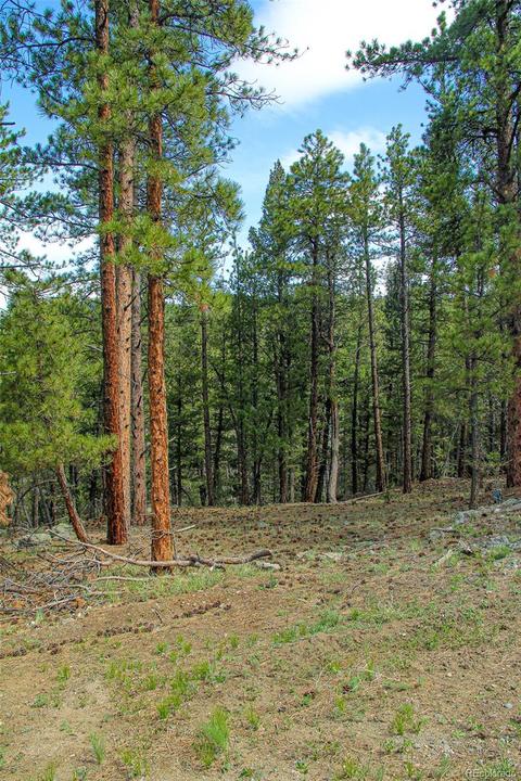 133 Parkview Ct, Bailey, CO 80421 photo 11
