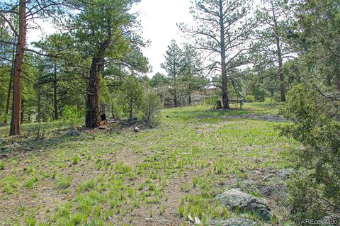 133 Parkview Ct, Bailey, CO 80421 photo 8