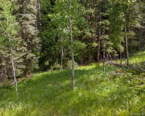 28380 Pine Trl, Conifer, CO 80433 photo 9
