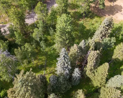 28380 Pine Trl, Conifer, CO 80433 photo 8