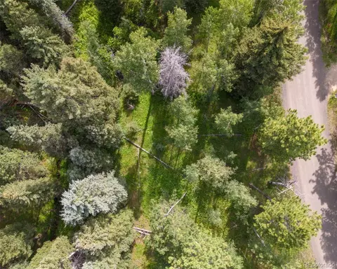 28380 Pine Trl, Conifer, CO 80433 photo 7