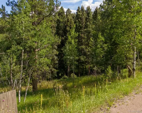 28380 Pine Trl, Conifer, CO 80433