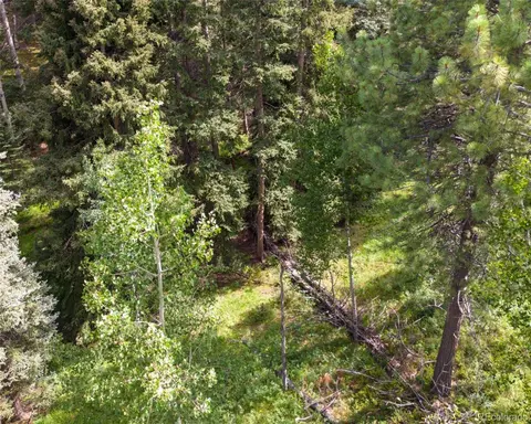 28380 Pine Trl, Conifer, CO 80433 photo 3