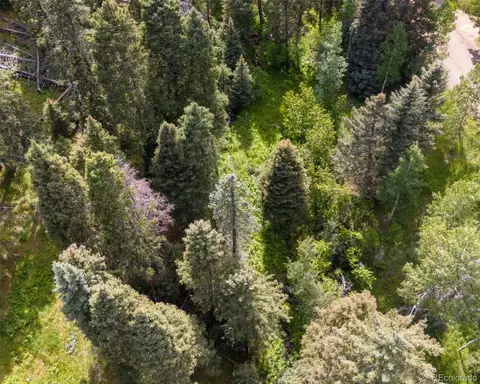 28380 Pine Trl, Conifer, CO 80433 photo 6