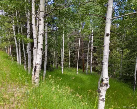 28380 Pine Trl, Conifer, CO 80433 photo 2