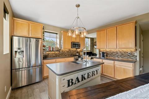 10309 Bellwether Ln, Lone Tree, CO 80124 photo 9