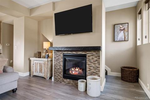 10309 Bellwether Ln, Lone Tree, CO 80124 photo 8