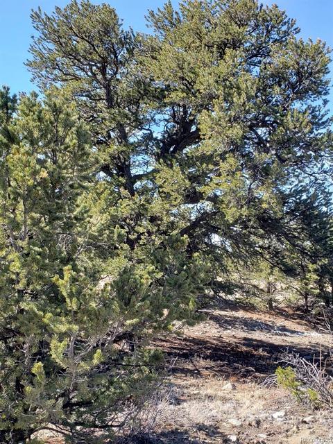 30 Mill Run Rd, Mosca, CO 81146 photo 2