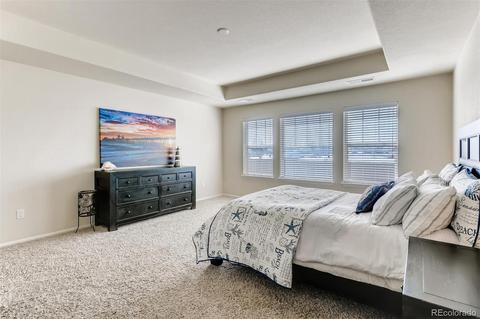 2350 E 160th Pl, Thornton, CO 80602 photo 17