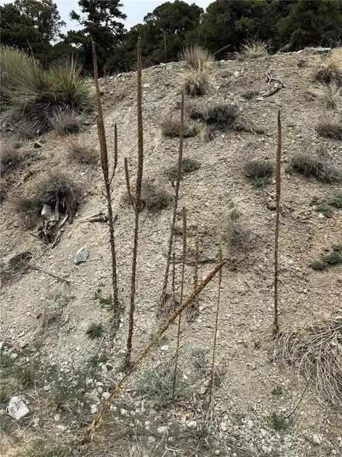 Knotty Pine Road, Howard, CO 81233 photo 14