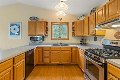 1935 Burland Dr, Bailey, CO 80421 photo 11