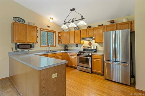 1935 Burland Dr, Bailey, CO 80421 photo 9