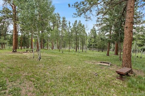 1935 Burland Dr, Bailey, CO 80421 photo 30