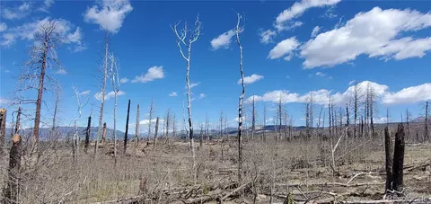 lot1228 Granville Loop, Fort Garland, CO 81133