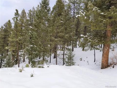 28482 Crystal Ridge Rd, Pine, CO 80470 photo 3