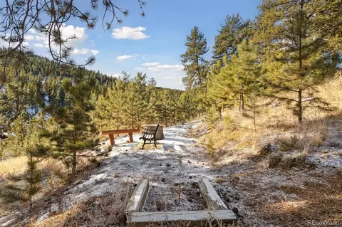 104 Brewer St, Bailey, CO 80421 photo 43