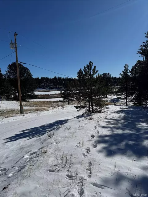 965 Midland Ct, Lake George, CO 80827