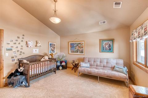 5477 Tiger Bend Ln, Morrison, CO 80465 photo 15