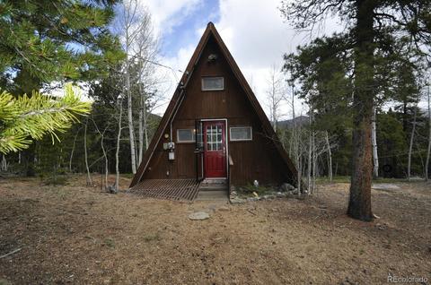 101 Royal Ln, Bailey, CO 80421 photo 1