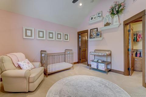 311 Grape St, Denver, CO 80220 photo 22
