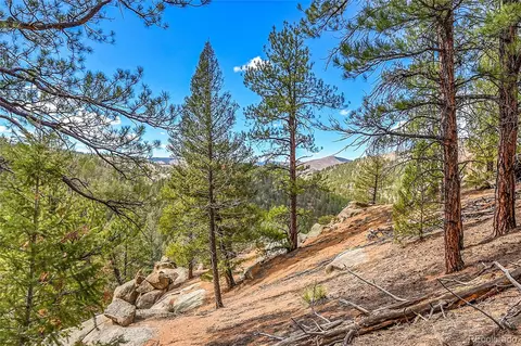 17016 Icehouse Ct, Pine, CO 80470 photo 8