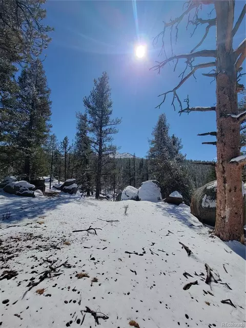 17016 Icehouse Ct, Pine, CO 80470 photo 16