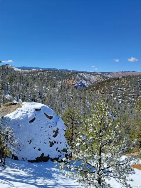 17016 Icehouse Ct, Pine, CO 80470 photo 15