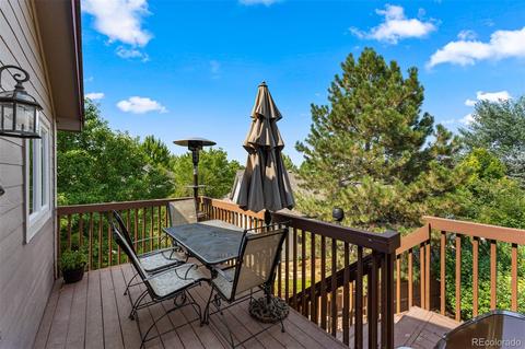 9446 Brook Ln, Lone Tree, CO 80124 photo 33