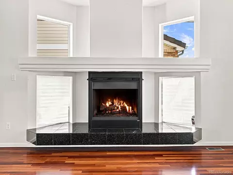 Living - 21438 E 54th Ave, Denver, CO 80249 photo 3 of 16