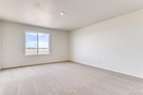 321 Spruce St, Bennett, CO 80102 photo 19