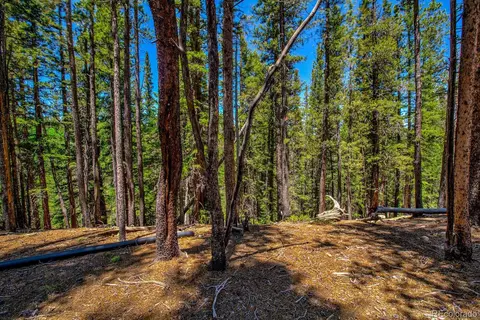 4100 Co Rd 1, Fairplay, CO 80440 photo 4