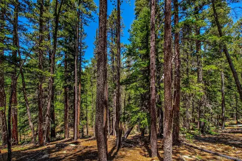 4100 Co Rd 1, Fairplay, CO 80440 photo 5