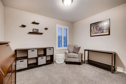 20908 E 51st Pl, Denver, CO 80249 photo 28